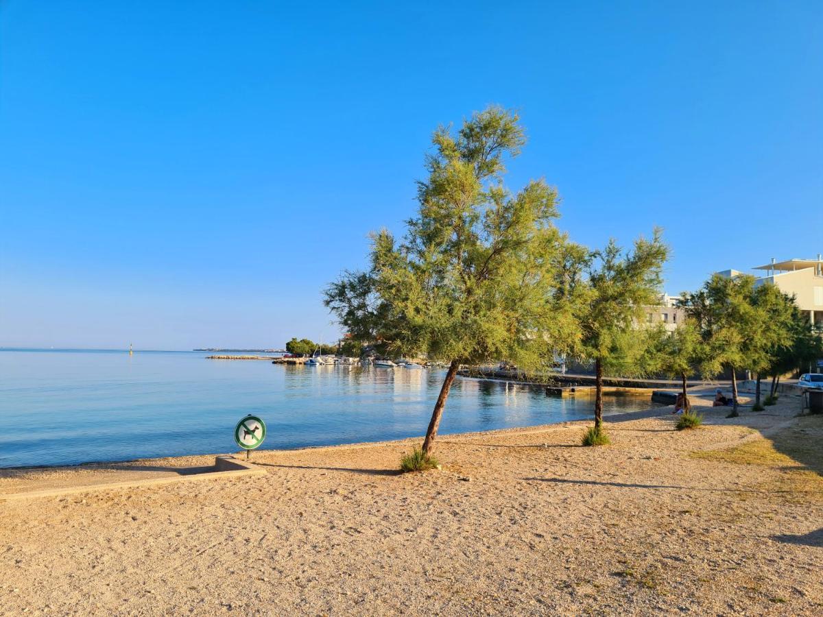 Love Borik Apartment Zadar Bagian luar foto
